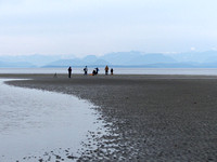 Bill 2023-03-19 025 CVPS @ Williams Beach
