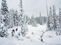 Winter Joy
