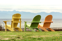 Diane Spaidal - Williams Beach Chairs