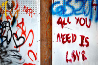 All You Need Is LSVE