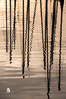 Standing Tall - Kathy Paynter